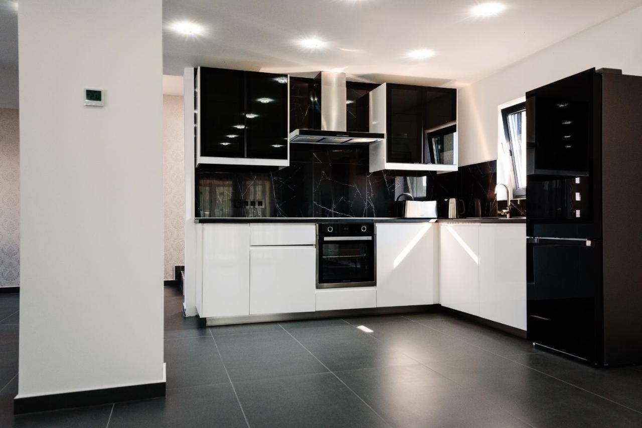 Concept Villa Livezeni  Buitenkant foto
